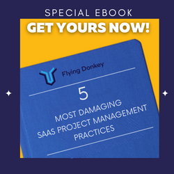5 most damaging saas project management practices